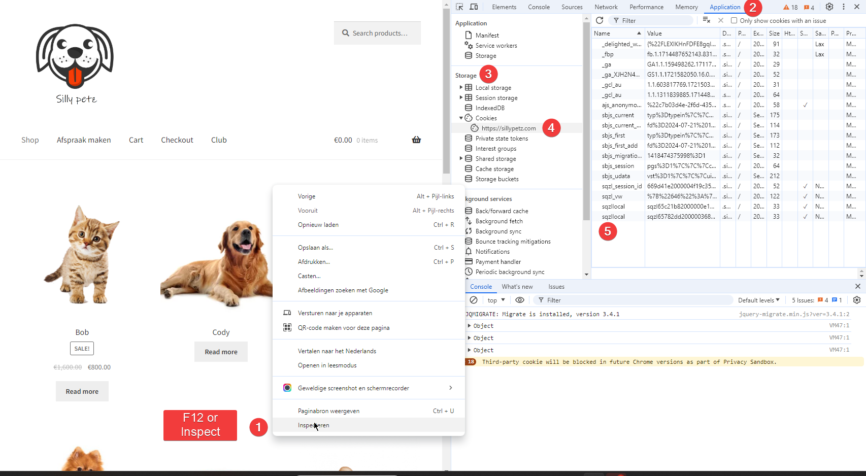 Chrome.png